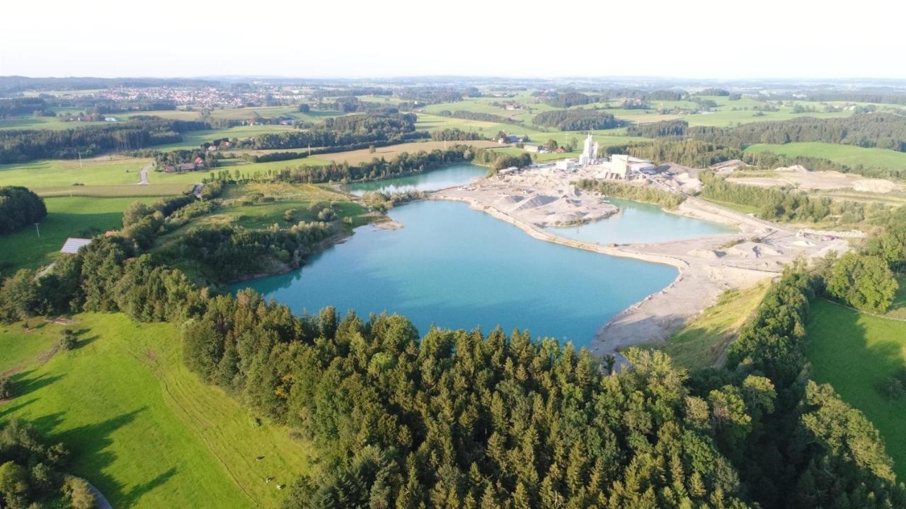 Gruener Baum 