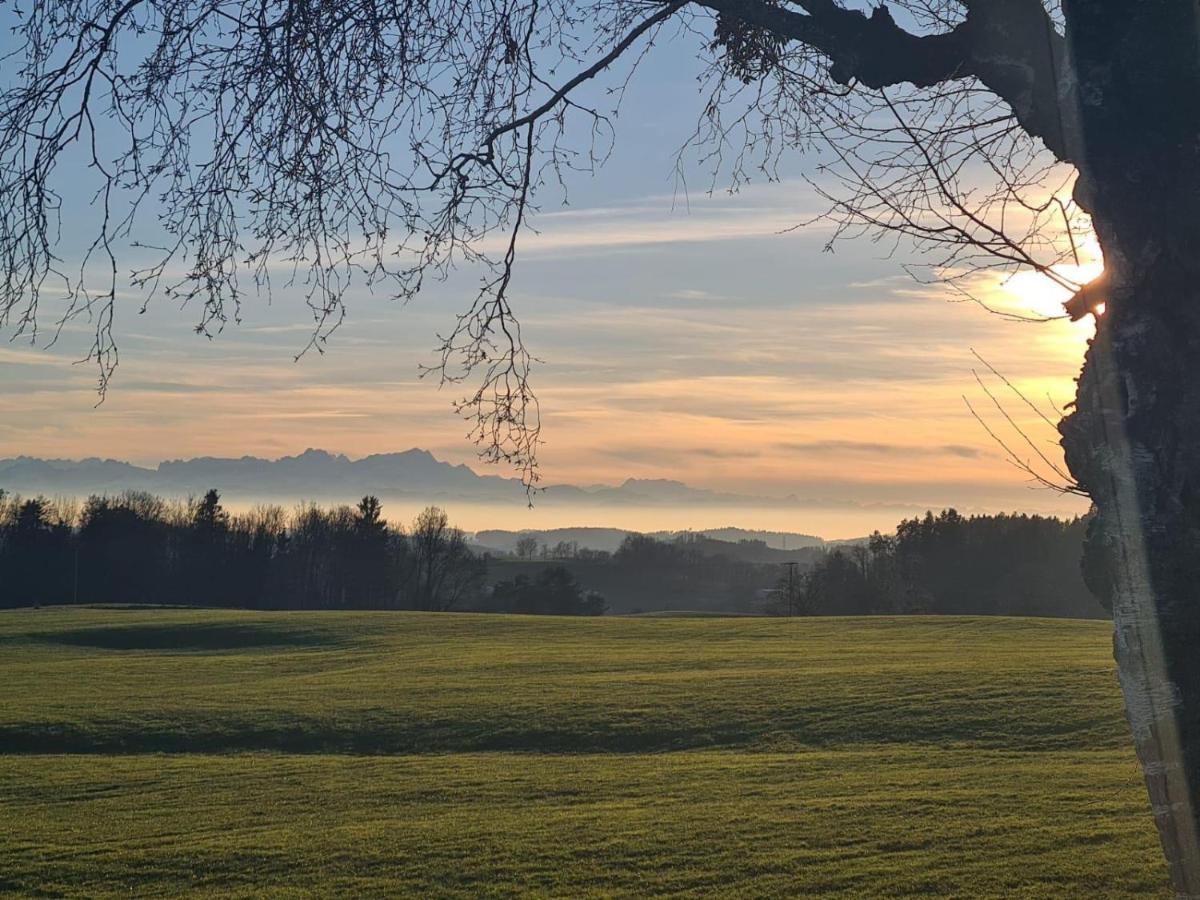 Gruener Baum 
